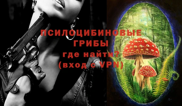 твердый Каменск-Шахтинский
