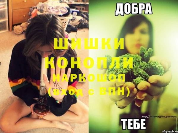 твердый Каменск-Шахтинский