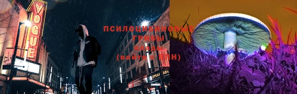 винт Краснослободск