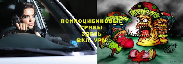 твердый Каменск-Шахтинский